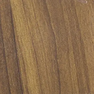 Atlantic Cedar